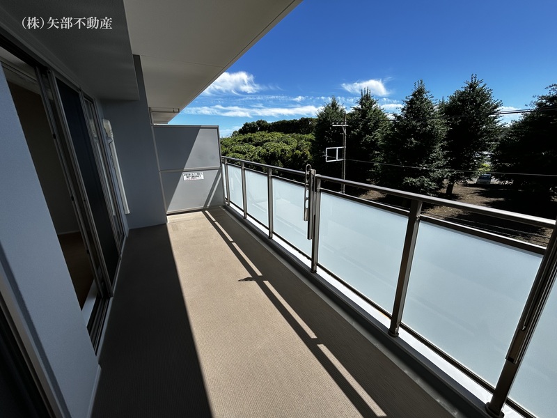 �o���R�j�[