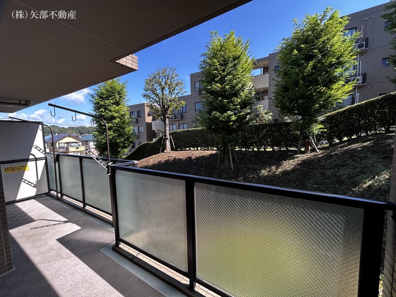 �o���R�j�[