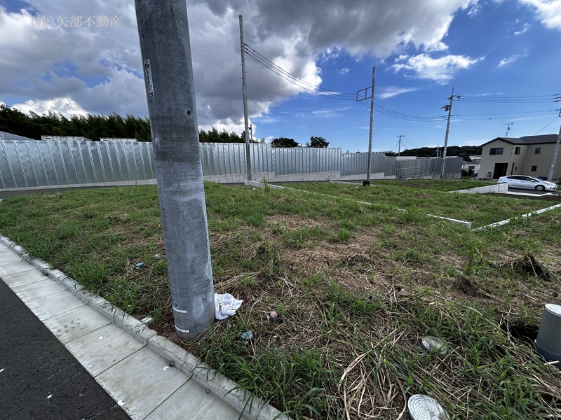 ���n