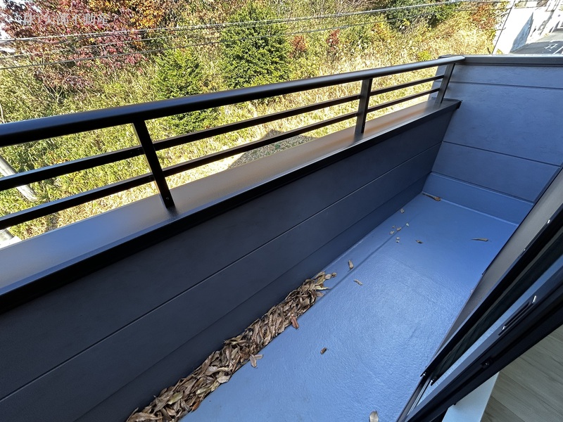 �o���R�j�[