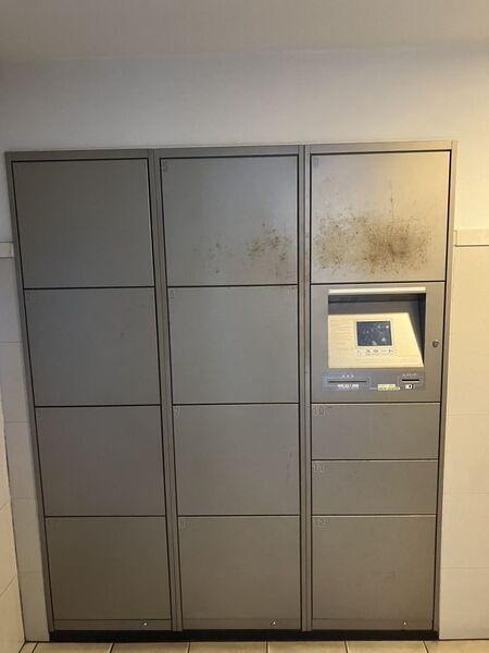 ��z�{�b�N�X