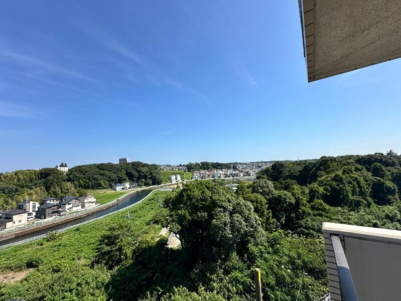 �o���R�j�[����̒��]